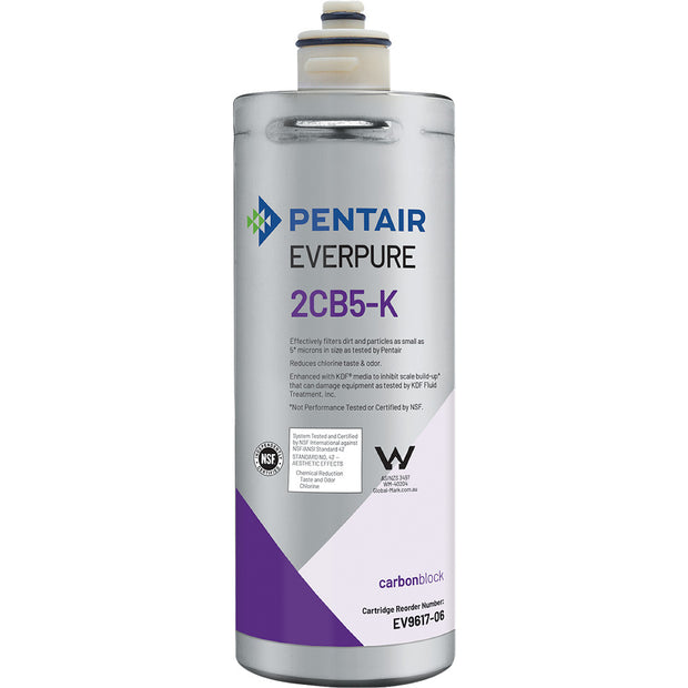 Everpure 2CB5K Cartridge EV961706 Water Filtration Cartridge Everpure - eFilters