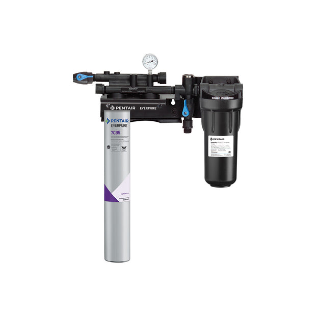 Everpure Kleensteam II Single Water Filter System EV979721 Water Filtration Systems Everpure - eFilters