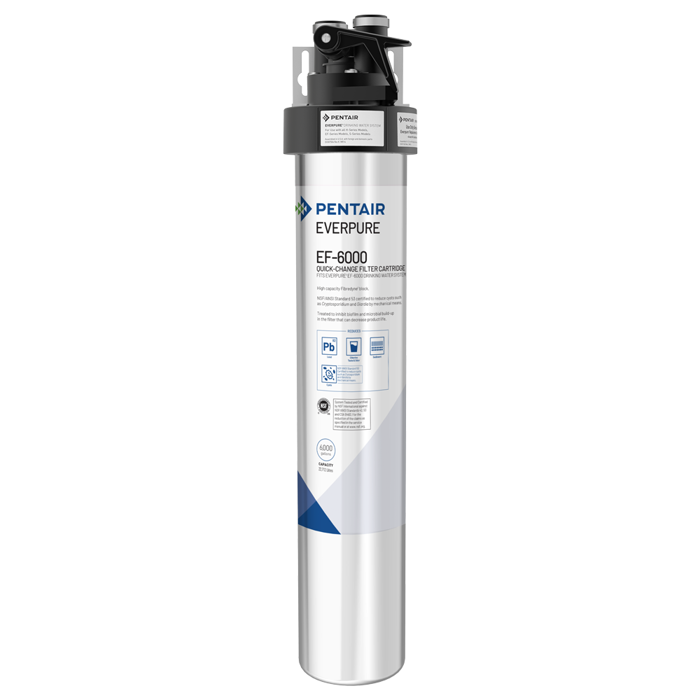 Everpure EF6000 'Full Flow' System EV985500