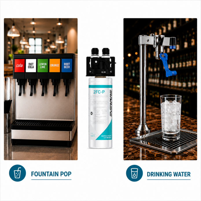 Everpure QL3B-2FCP Water Filter System EV929800 - Forever Chemicals Water Filtration Systems Everpure - eFilters