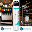Everpure QL3B-4FCP Water Filter System EV929820 - Forever Chemicals Water Filtration Systems Everpure - eFilters