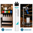 Everpure QL3B-7FCP Water Filter System EV929840 - Forever Chemicals Water Filtration Systems Everpure - eFilters