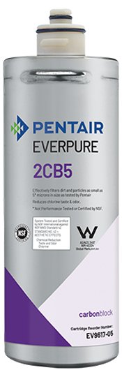 Everpure 2CB5 Cartridge EV961705 - Efilters.net