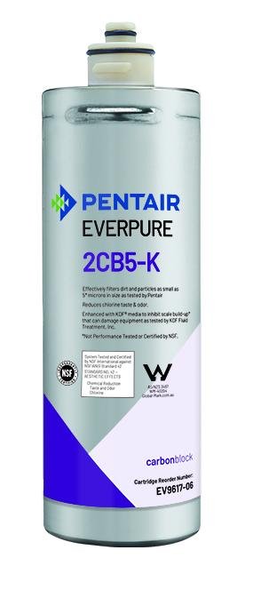 Everpure 2CB5-K Cartridge EV9617-06 - Efilters.net