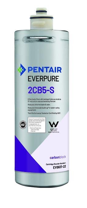 Everpure 2CB5-S Cartridge EV9617-22 - Efilters.net