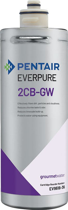 Everpure 2CBGW Cartridge EV961836 - Efilters.net