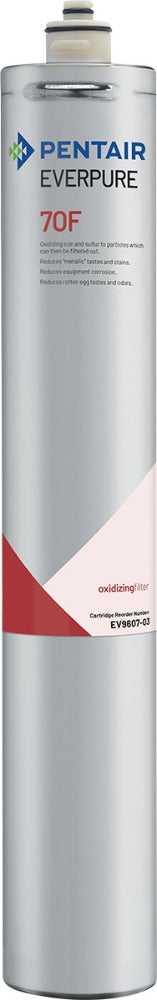 Everpure 7OF Cartridge EV960703 - Efilters.net