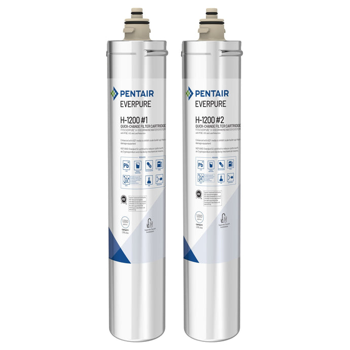 Everpure H-1200 Drinking Water Cartridge kit EV9282-01 (1,000 gallons) - Efilters.net