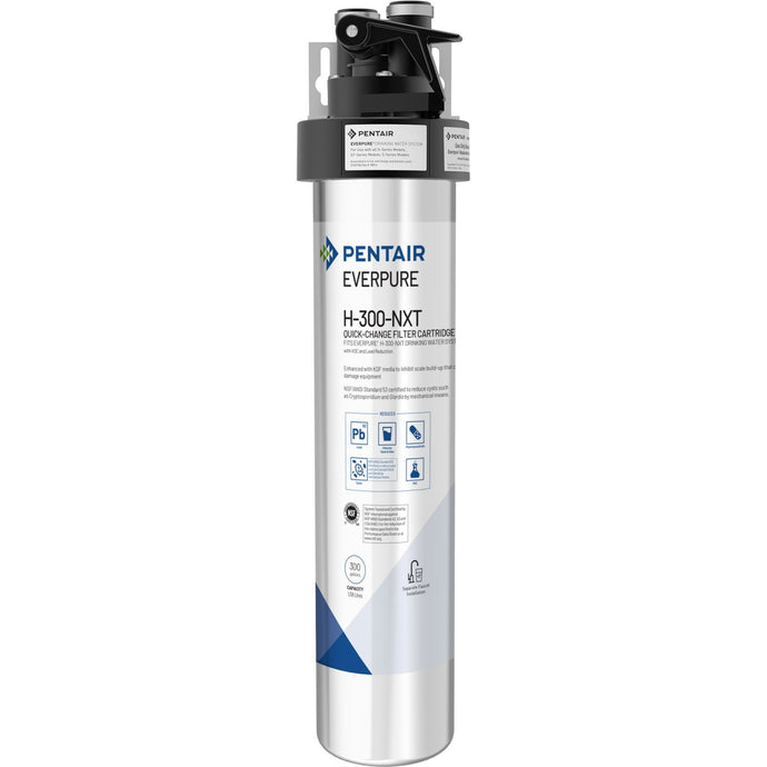 Everpure H300 NXT Drinking Water System EV9271-51 (300 gallons) - Efilters.net