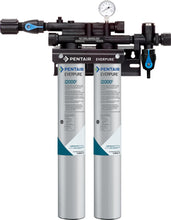 Load image into Gallery viewer, Everpure Insurice i2000(2) Twin Water Filter System EV932402 - Efilters.net
